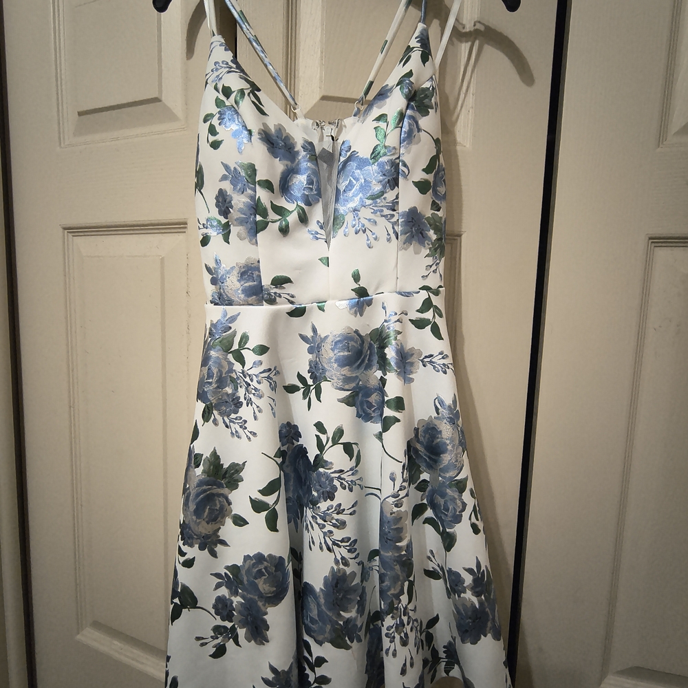 Floral Blue and White Mini Dress